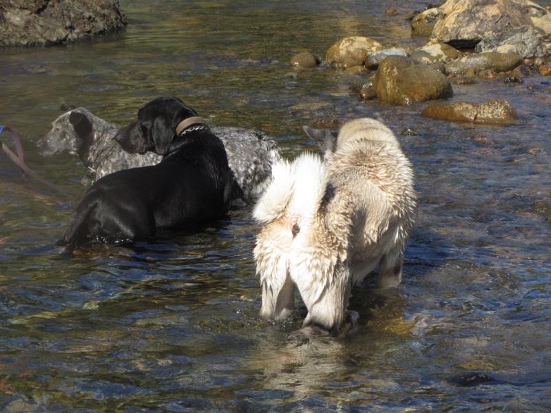 Balade à la rivière de Dumbéa  2013-475