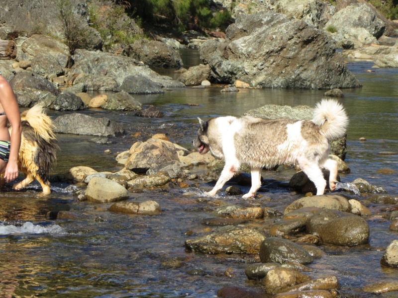 Balade à la rivière de Dumbéa  2013-508