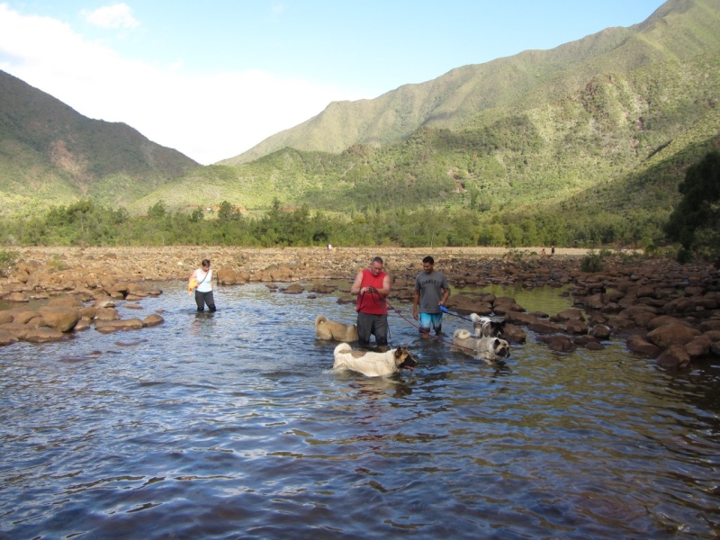 Balade à la rivière de Dumbéa  2013-542