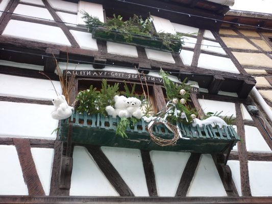 escapade en Alsace Tn_p1032