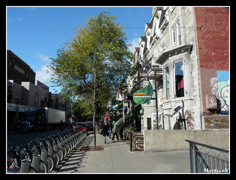 Séjour à Montréal Canada47