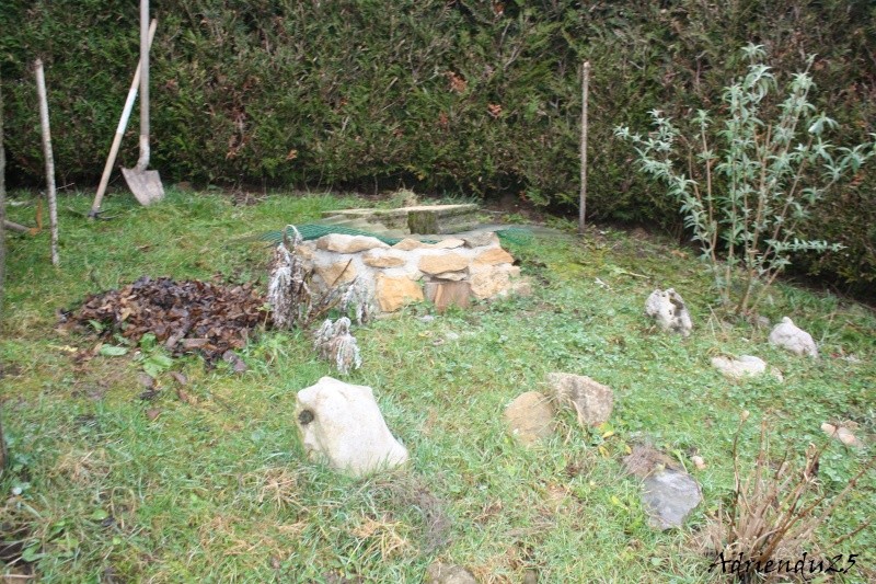 Agrandissement chez les horsfieldii Img_2612