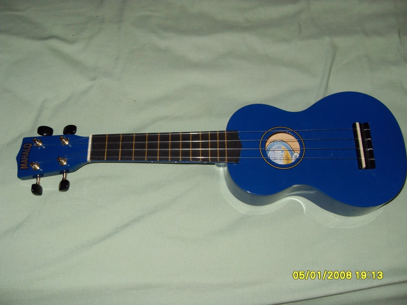 My Guitar Rig Sdc10310