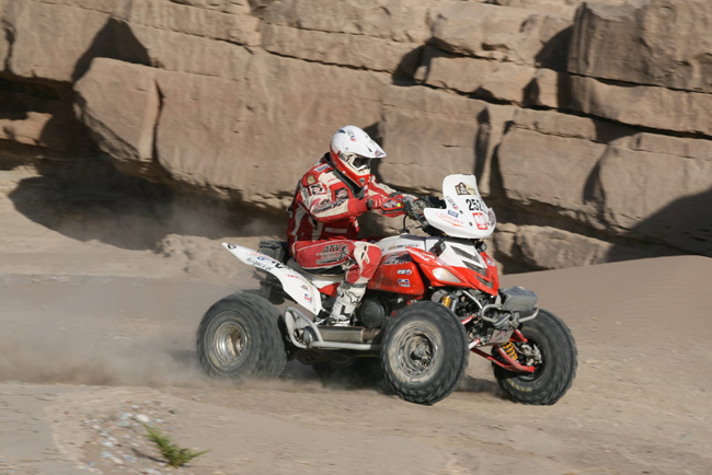 Dakar 2010 Arton217