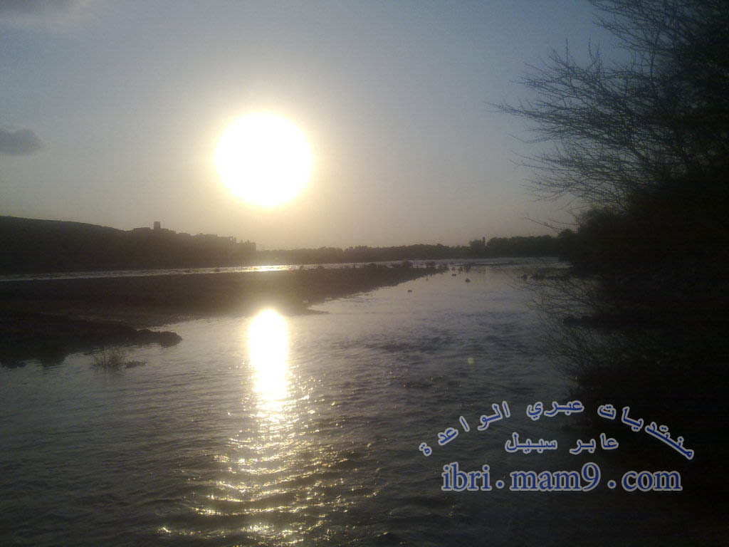 صور رائعة لوادي السليف بتاريخ 14-12-2009 20091221