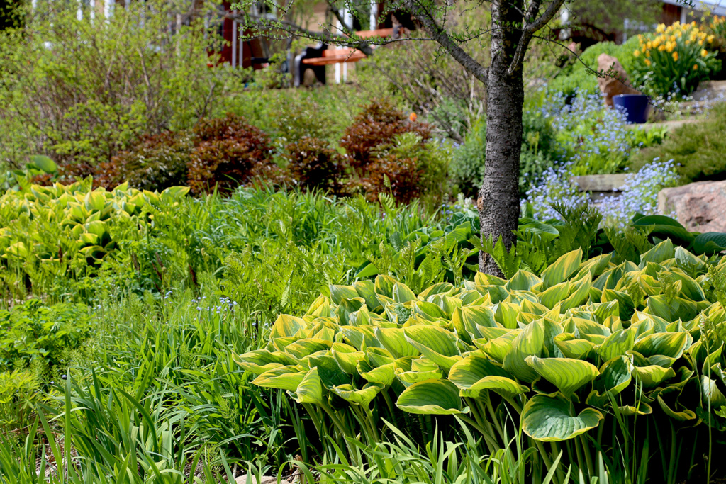 LES JARDINS DE ST-ÉLYSÉE DE BERSIMIS - SAISON 2021 - Page 6 Bersi105