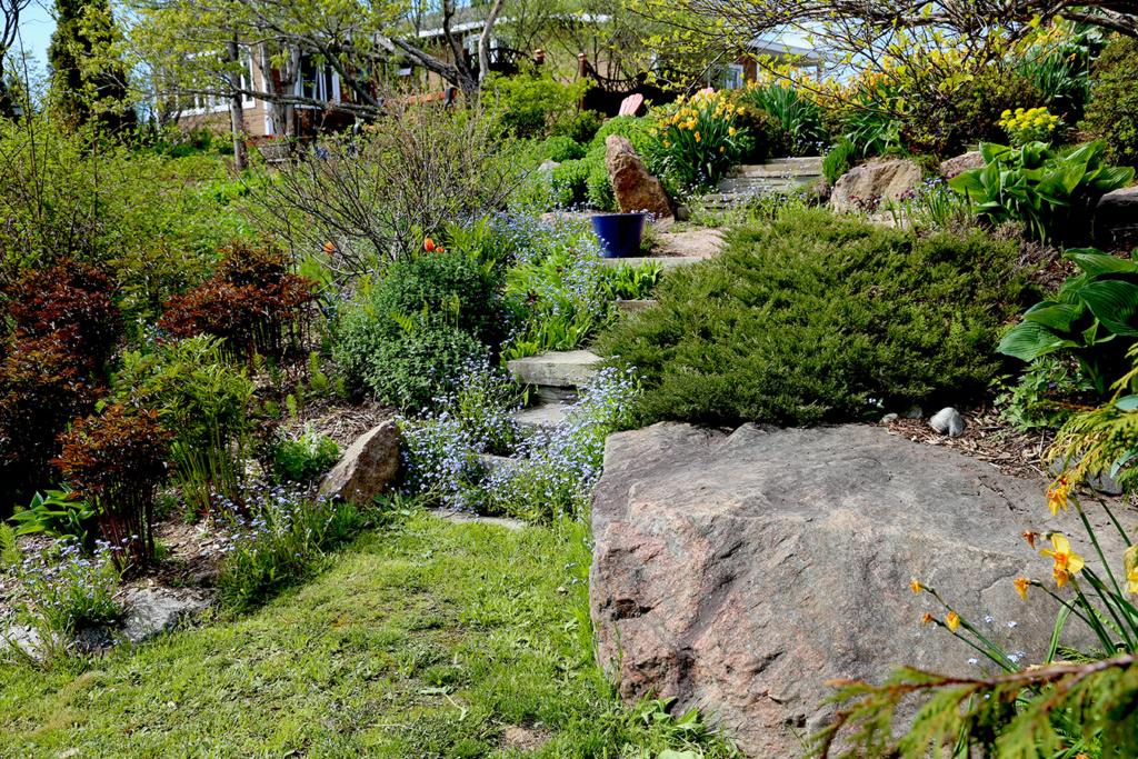 LES JARDINS DE ST-ÉLYSÉE DE BERSIMIS - SAISON 2021 - Page 6 Bersi107