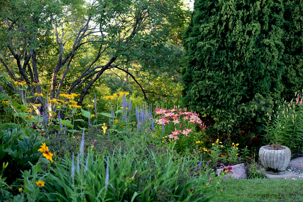 LES JARDINS DE ST-ÉLYSÉE DE BERSIMIS - SAISON 2021 - Page 12 Bersi458