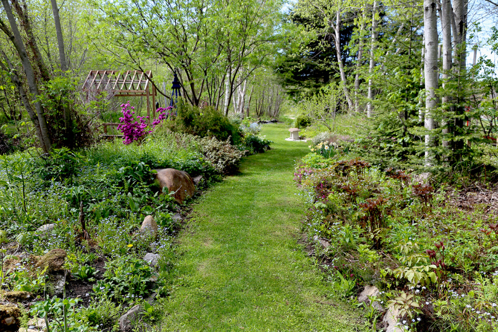 LES JARDINS DE ST-ÉLYSÉE DE BERSIMIS - SAISON 2021 - Page 6 Bersim97