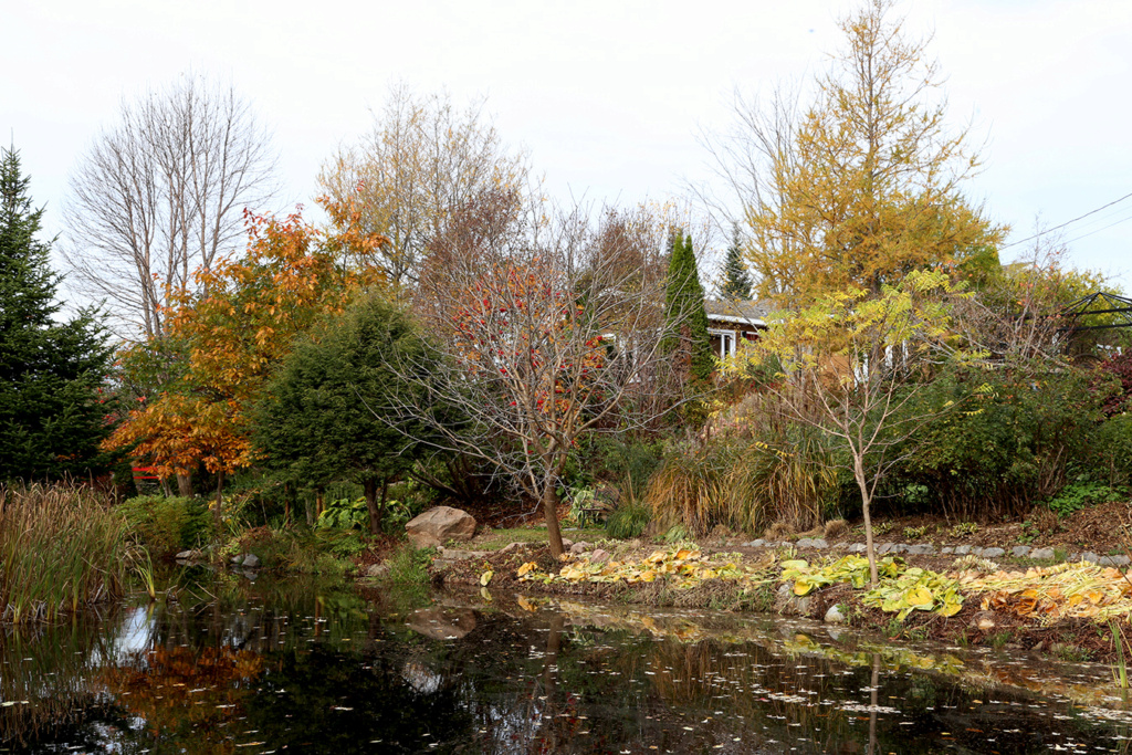 LES JARDINS DE ST-ÉLYSÉE DE BERSIMIS - SAISON 2023 - Page 15 Octobr32