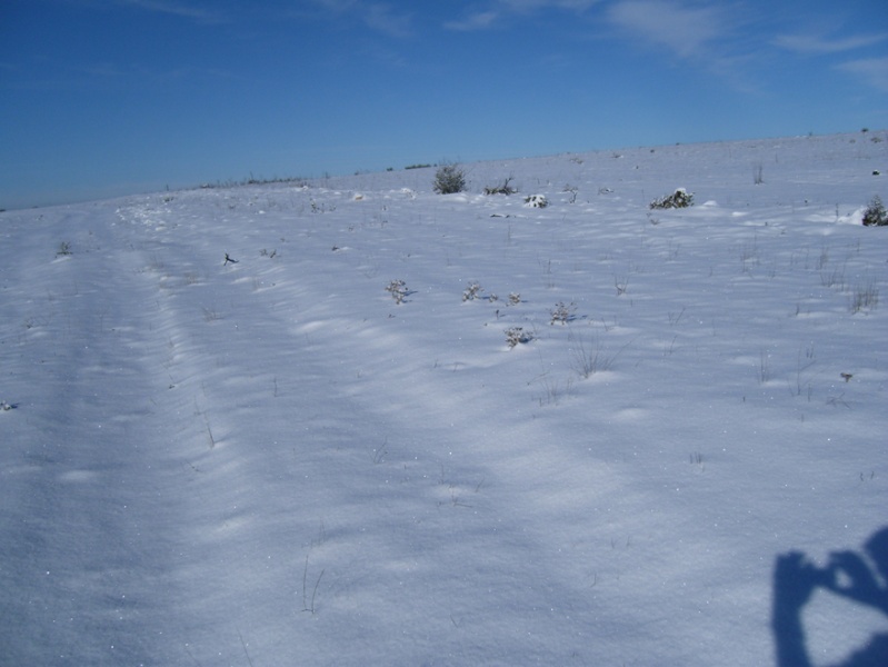 VAYA NEVADA... HASTA EL CULO DE NIEVE.... Dsci0113