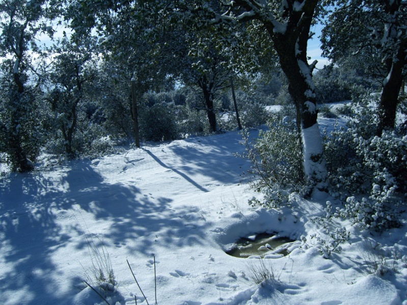 VAYA NEVADA... HASTA EL CULO DE NIEVE.... Dsci0114