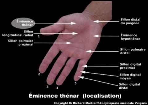Tendance à lâcher le grip de la main gauche en haut du backswing; des conseils svp Eminen10