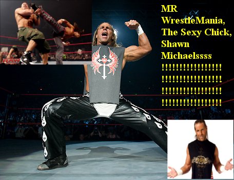Banners Shawn Michaels Banner11