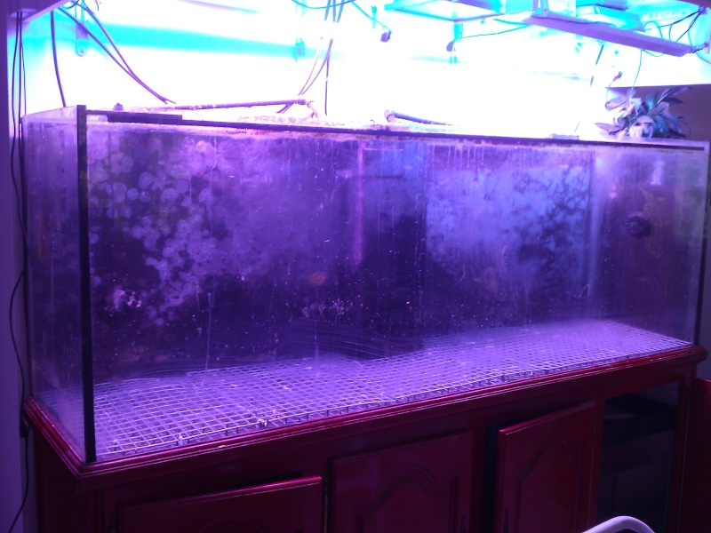 projet aquarium 700 litres jaubert - Page 3 Wp_00021