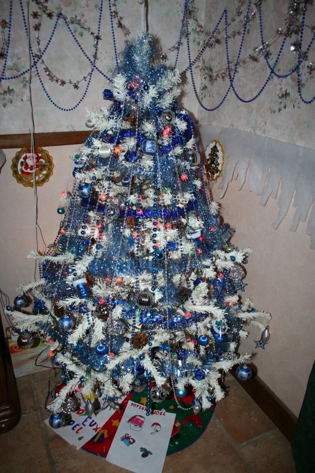Nos gagnants pour janvier 2010 "décorations de Noël" Jardi711