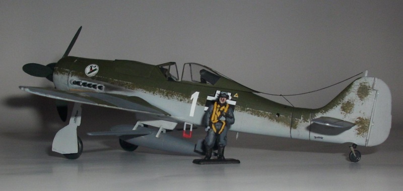 Fw 190 D9 mit Bv 246b "Hagelkorn", Revell 1/72 D9_bv210