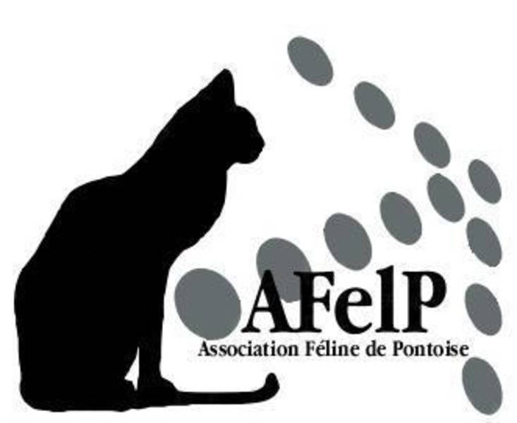 L'association féline de Pontoise recherche des bénévoles Afelp_11