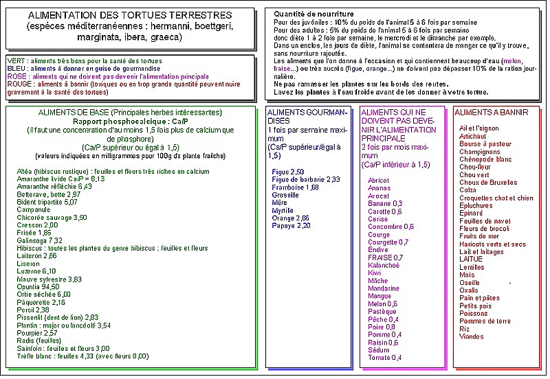 Quelques conseils pour améliorer la vie de ma tortue - Page 3 Alimen10