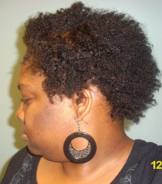 SheeTacular's Hair Journey - Slide show! - Page 4 Dsci2119
