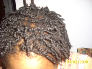 SheeTacular's Hair Journey - Slide show! - Page 5 Dsci2139