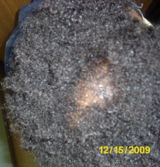 SheeTacular's Hair Journey - Slide show! - Page 5 Dsci2142