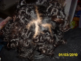 SheeTacular's Hair Journey - Slide show! - Page 5 Dsci2143
