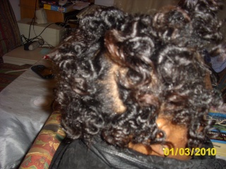 SheeTacular's Hair Journey - Slide show! - Page 5 Dsci2145
