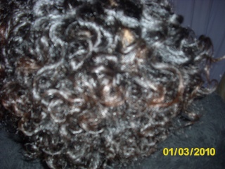 SheeTacular's Hair Journey - Slide show! - Page 5 Dsci2146