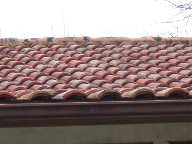 mousse sur toiture - démoussage toiture et bitume Divers12
