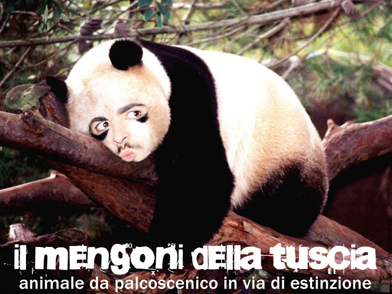 Fotomontaggi su Marco Panda_10