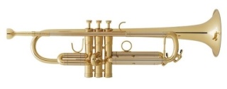 Consejos al comprar una Trompeta Selemr10