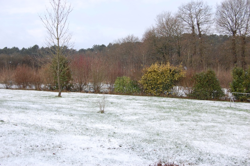 Neige en Bretagne Janvie10