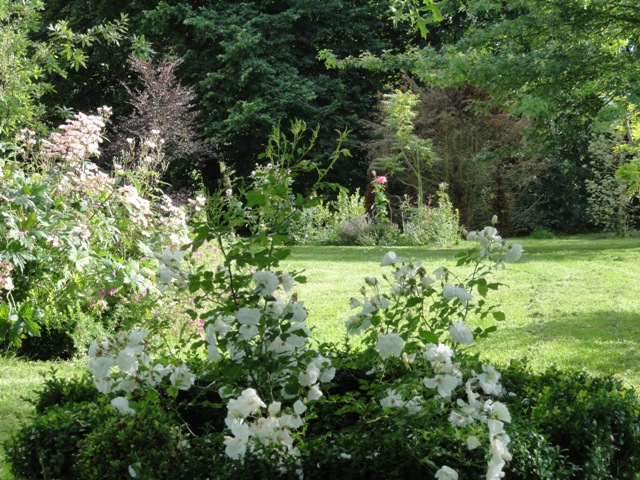 les rosiers blancs de Widoye 2012_062