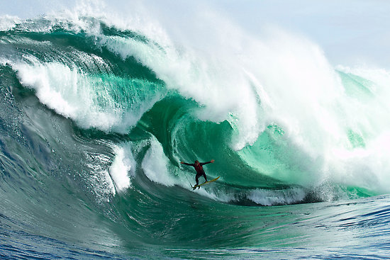 Jaws.....! Shipst10