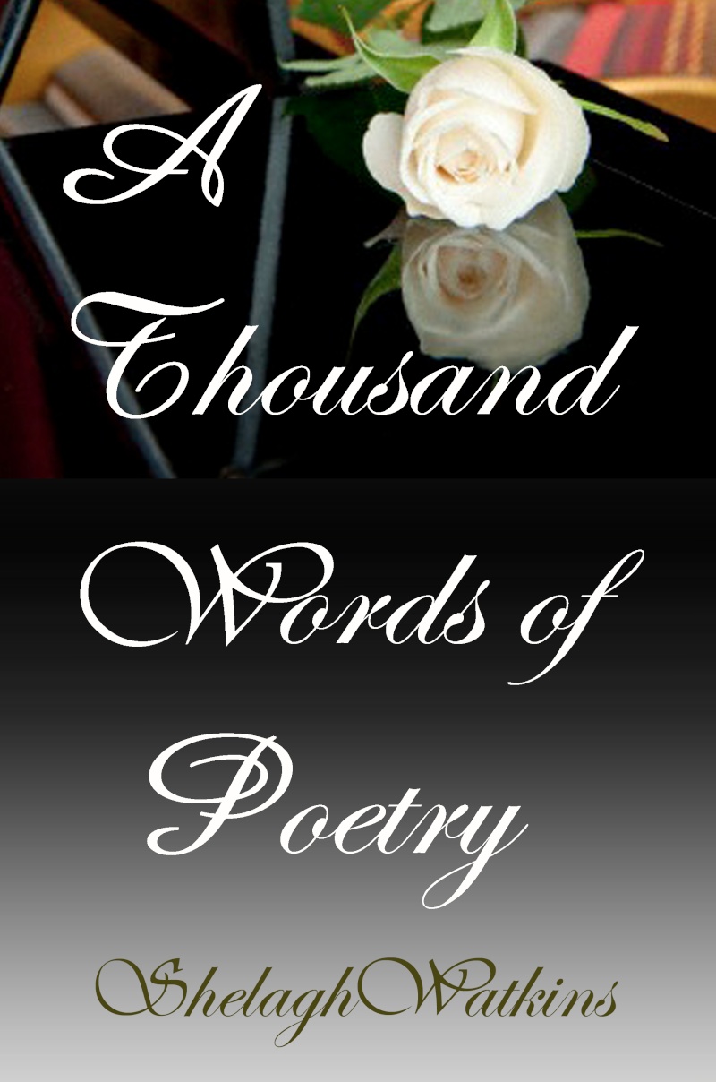 Poetry book cover Covert12