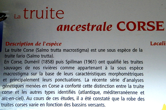 (20) balades en Corse 12_310