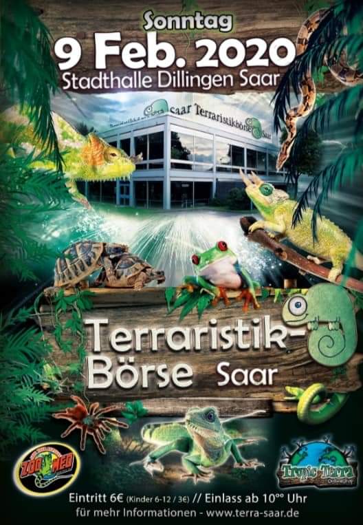 Bourse terrariophile - 9 février 2020 - Dillingen (DE) Fb_img11