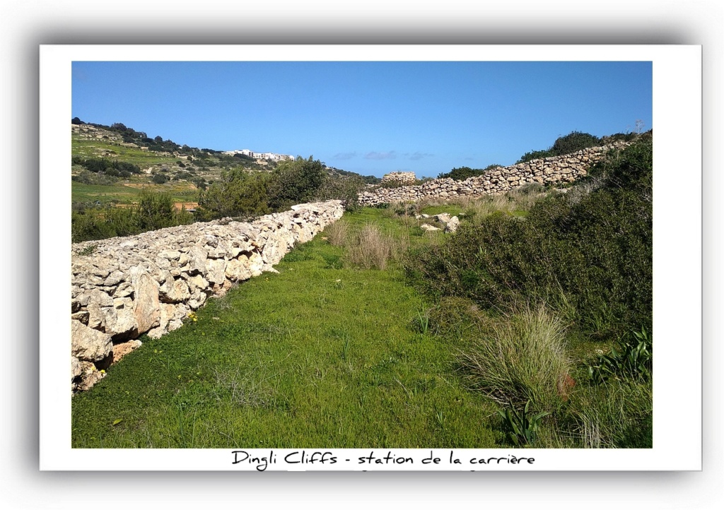 Malte 2024 - 29/02/24 au 07/03/24 - Les pierres et paysages Img_2080