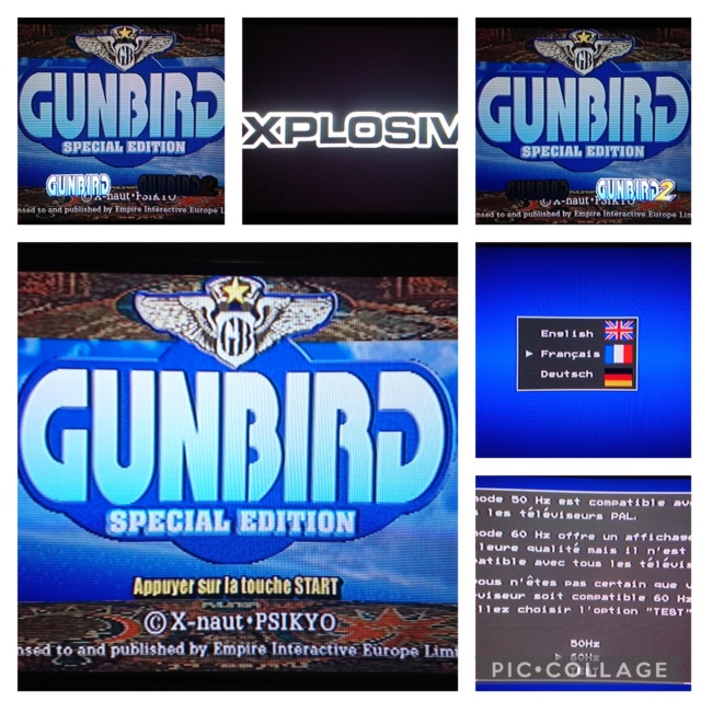 Gunbird Special Edition Coll1062