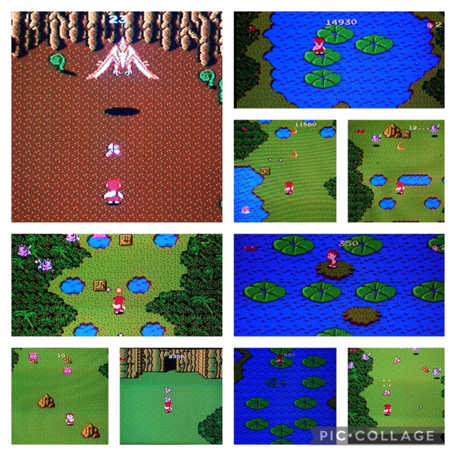 [TEST] Shinjinrui / Adventures of Dino Riki (Famicom) Coll1175