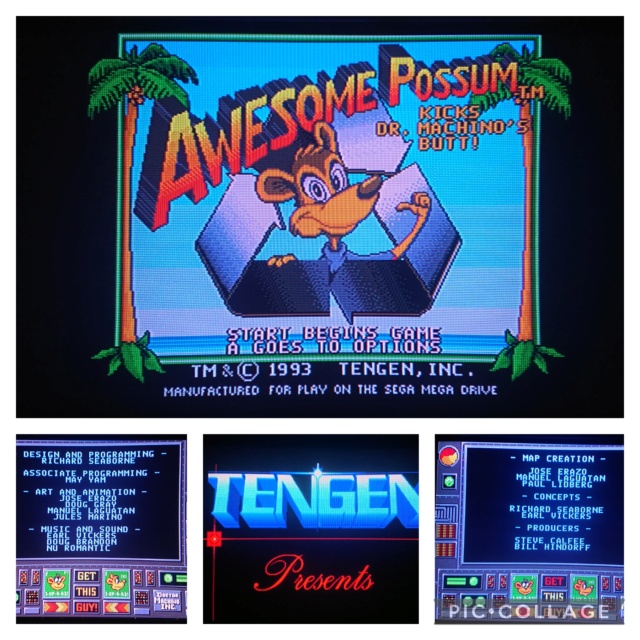 [TEST] Awesome Possum (Mega Drive) Coll1375