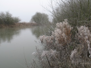 Anyone braving the elements? Thames10