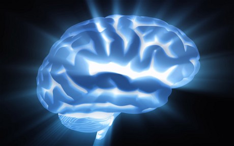 10 حقائق لا تعرفيها عن مخك Brain11