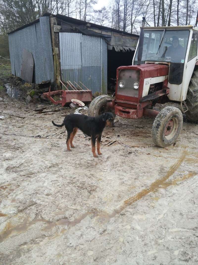 Ca y est, on a notre tracteur à nous ! Premie10