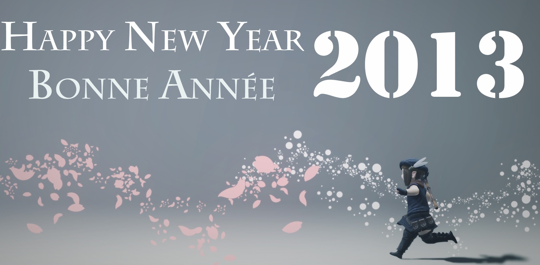 Bonne année 2013 / Happy New Year 2013 Zan_bo11
