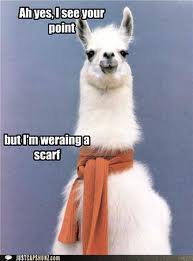 Here's one for ya. Llama10