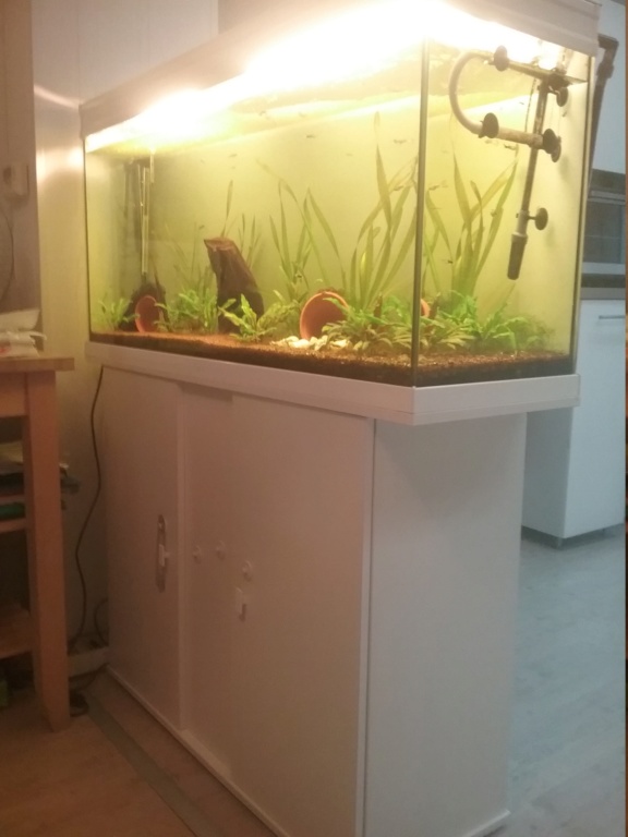 Vends aquarium juwel 240l avec meuble 20180910