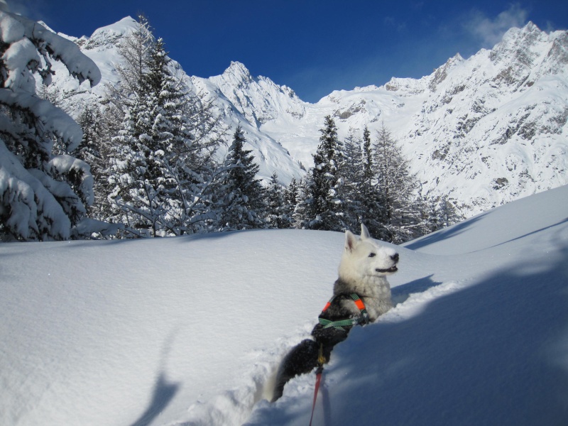 Nouvelles courses de Saskia dans la neige - Page 2 1010