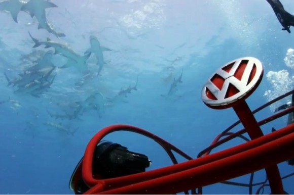 رحلة بحرية لمشاهدة أسماك القرش بالسيارة 2012_v10
